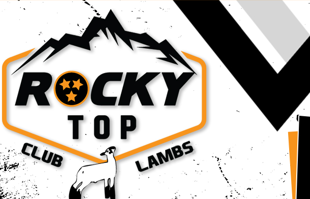 Rocky Top Club Lambs